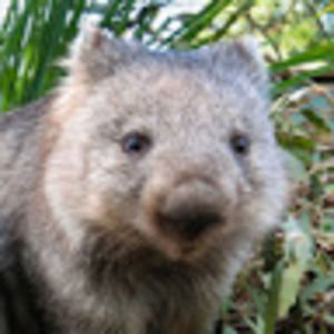 Meet your Posher, Leigh